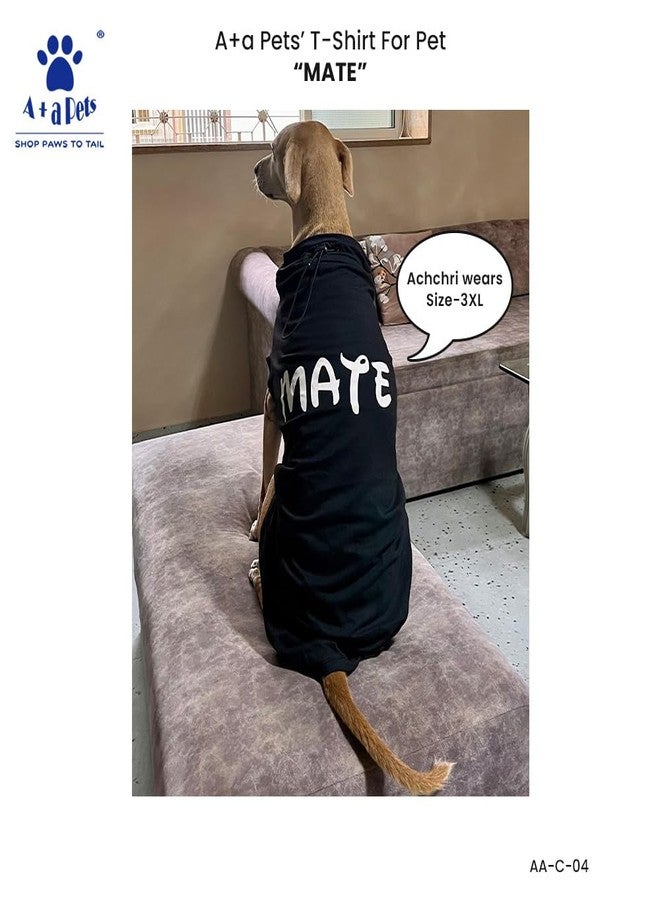 A+a Pets Graphic Printed Premium Regular Fit T-Shirt For Human(Unisex) 'soul' & Pets(Dog & Cat) 'Mate' | Half Sleeve Round Neck | Light Weight Costumes | Cotton (Human - Xl, Pet - 6Xl, Redh & Blackp) - Image 2